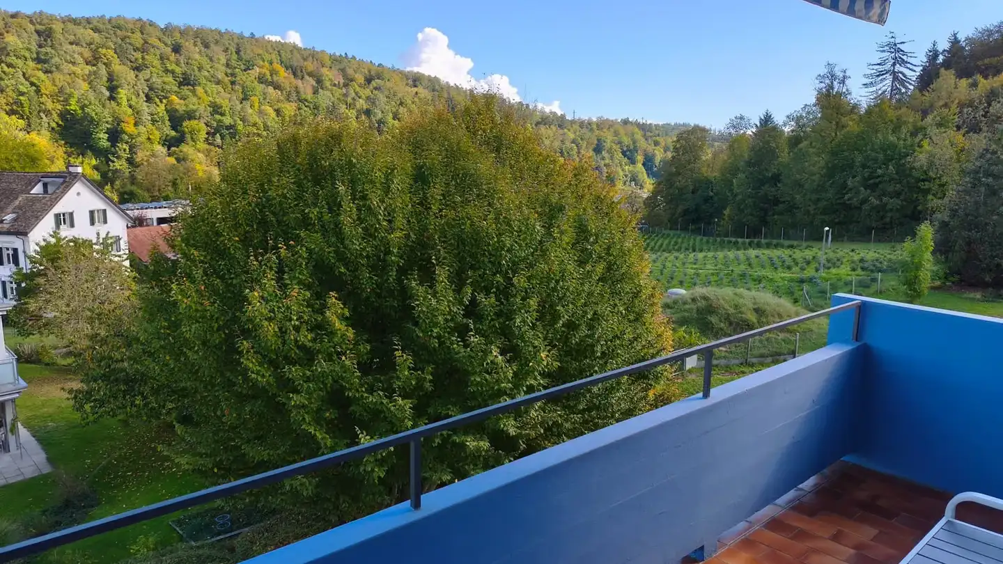 Appartamento in affitto - Erlenstrasse 11, 8134 Adliswil - Foto 3