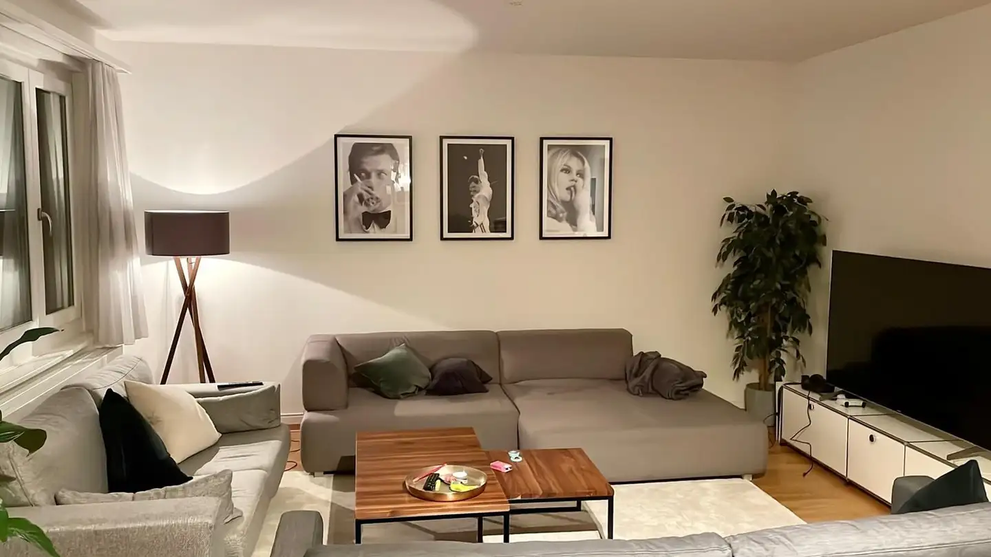 Single room for rent - 8055 Zürich