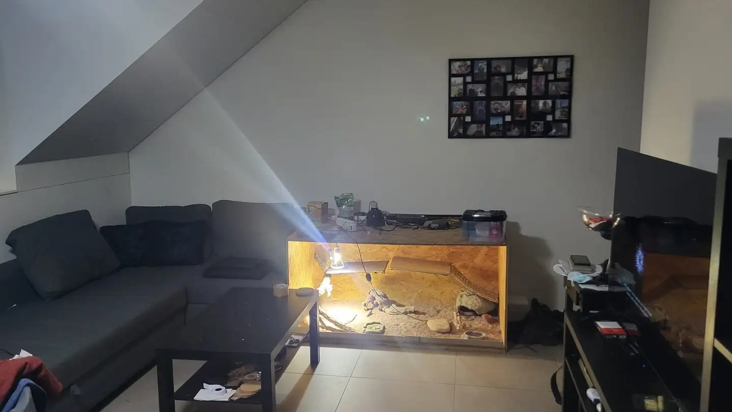 Apartment for rent - Rue de l'Abbaye 1, 1196 Gland