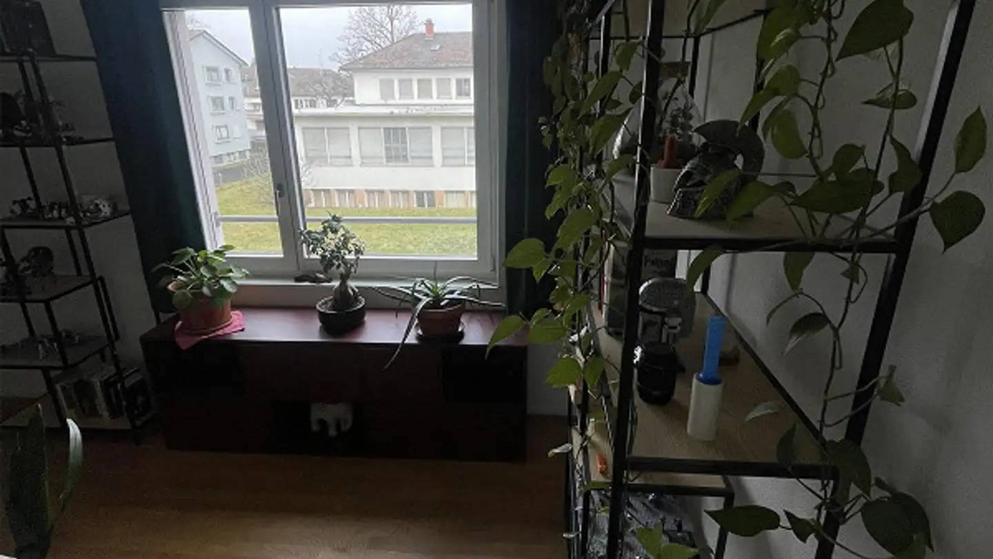 Single room for rent - Wehntalerstrasse 424, 8046 Zürich - Photo 2