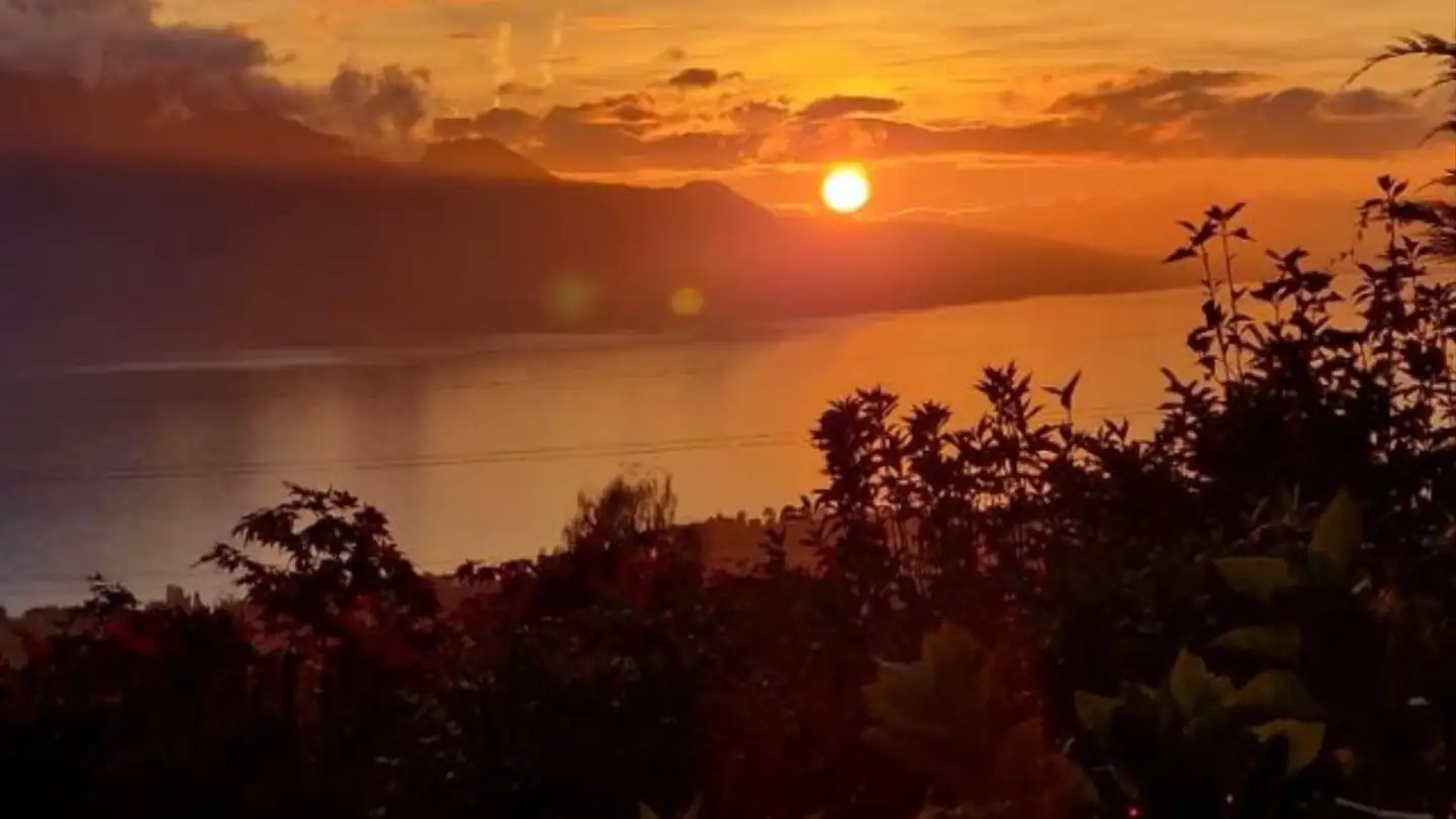 Zimmer mieten - Chemin De Vers-Chez-Cochard 9, 1807 Blonay