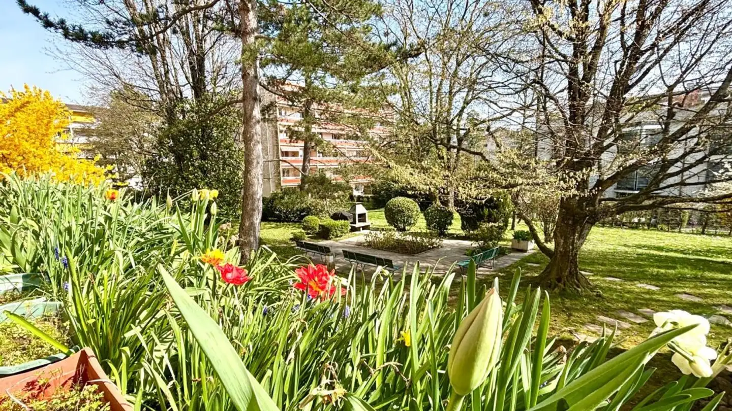 Appartamento in affitto - Chemin Du Chêne 8, 1260 Nyon