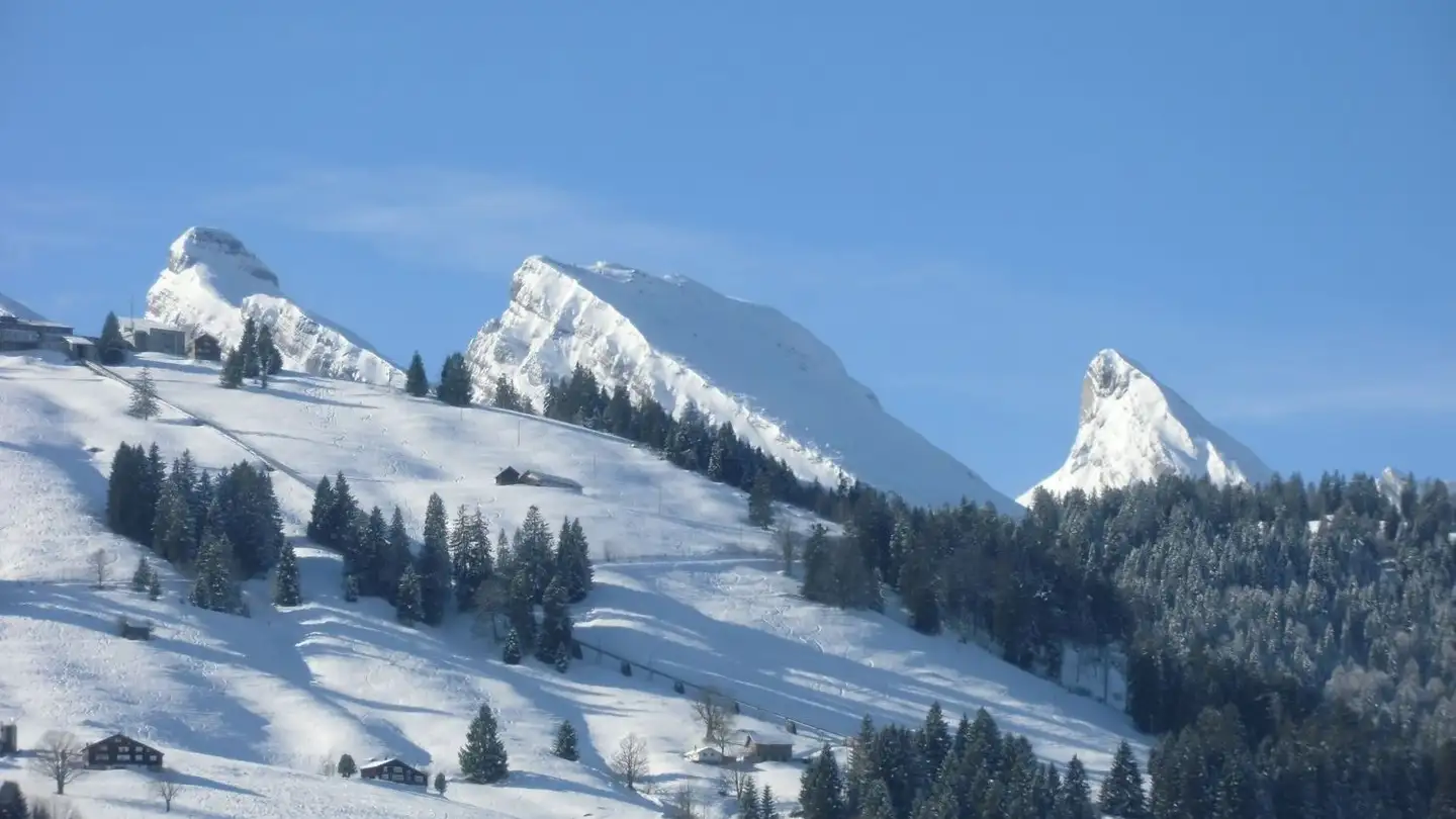 Duplex à louer - Hinterrietstrasse, 9658 Wildhaus - Photo 4