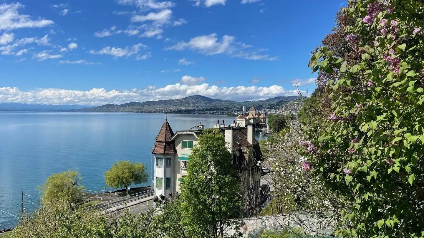 Apartment for rent - Chemin De Plan-Manon 1, 1820 Veytaux - Photo 3