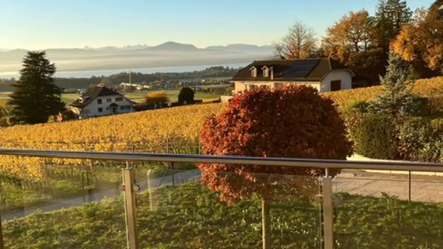 Casa singola in affitto - Chemin Vers Saint-Vincent 18, 1182 Gilly - Photo 4