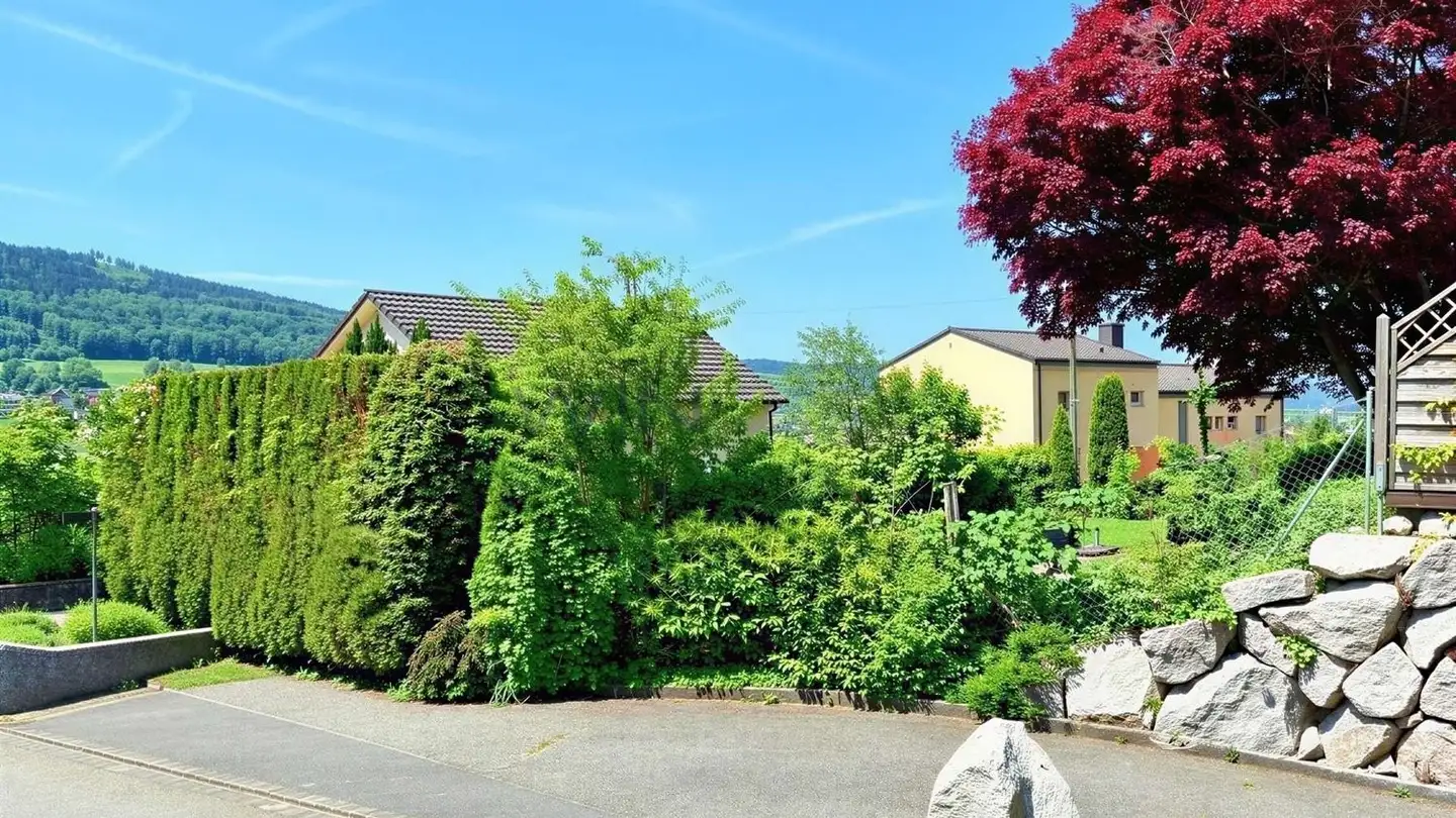 Bauland kaufen - 5737 Menziken - Foto 3