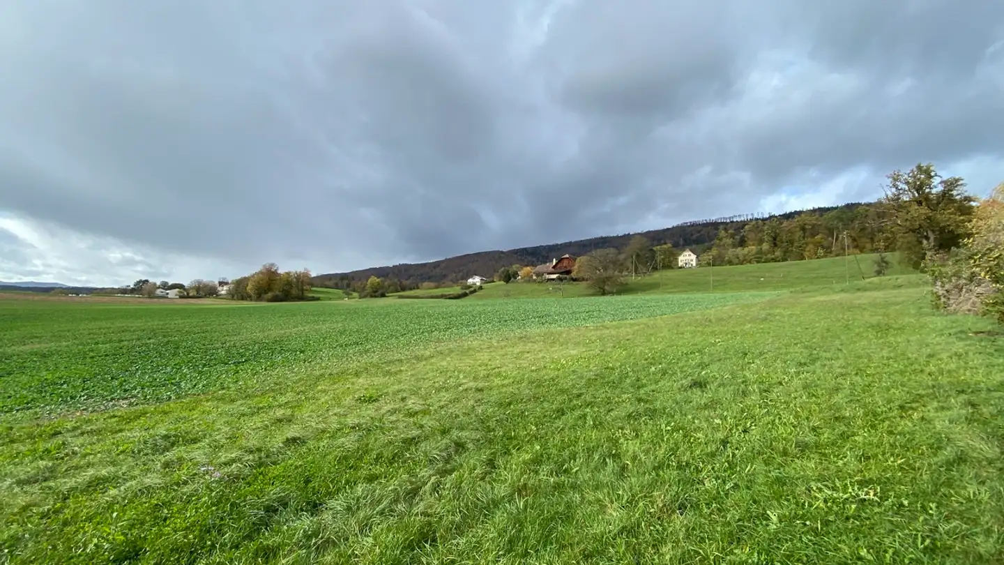 Terrain constructible à vendre - 2800 Delémont