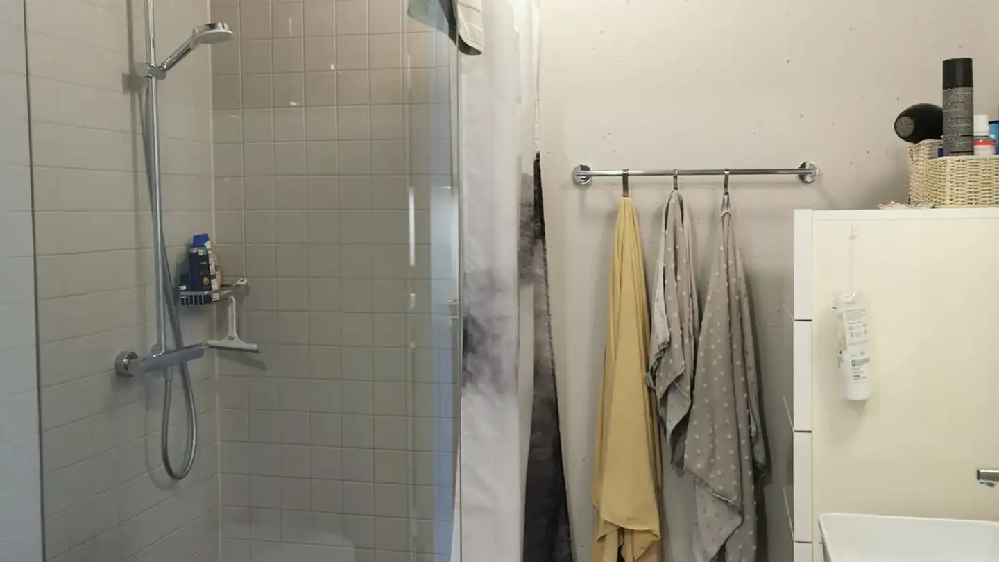 Appartamento in affitto - Rietholzstrasse 2b, 8125 Zollikerberg - Foto 4