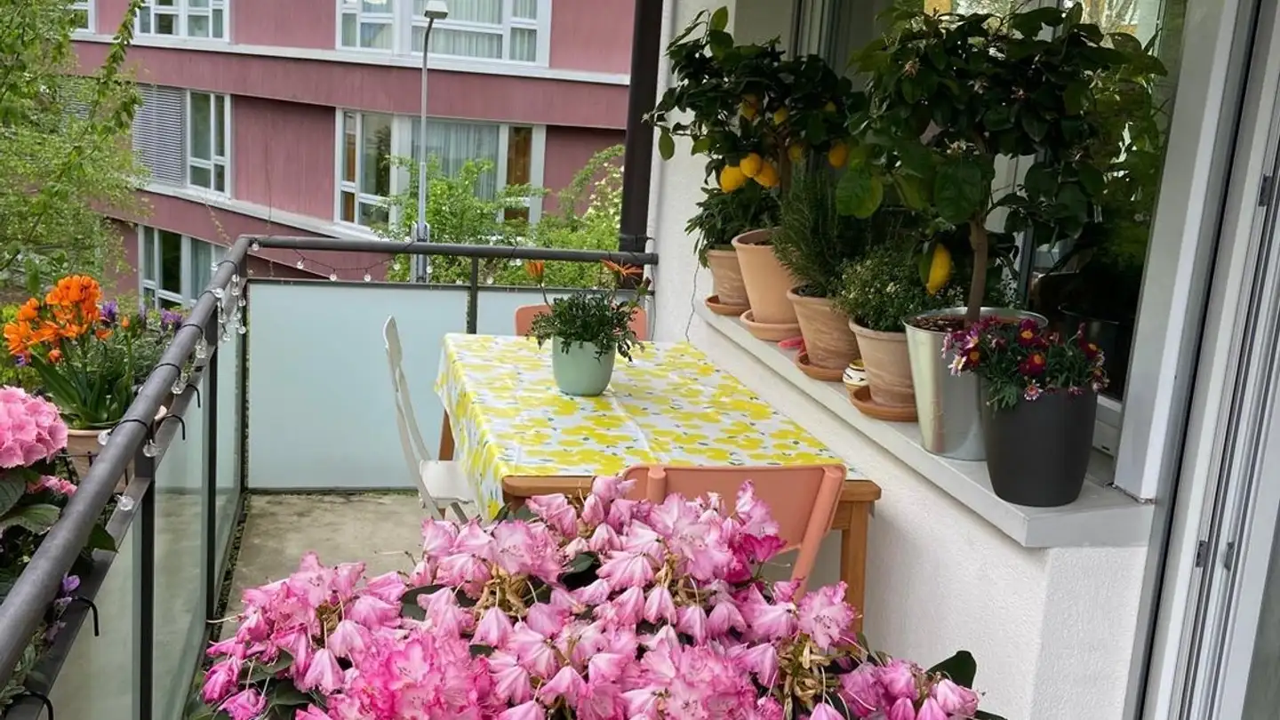 Appartement à louer - 8044 Zürich - Photo 4