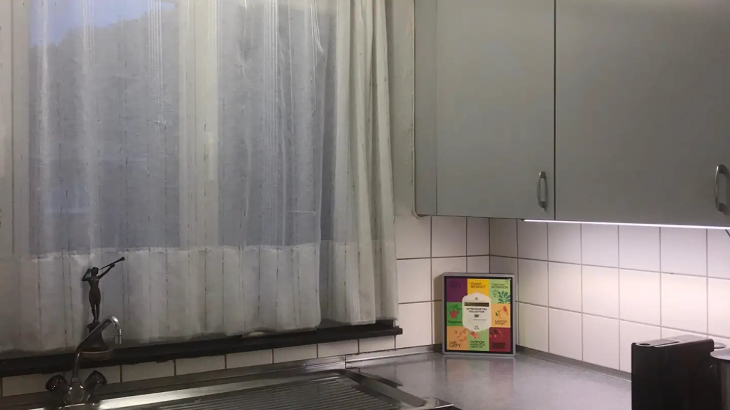 Apartment for rent - Sihlmatten 14, 8134 Adliswil - Photo 3