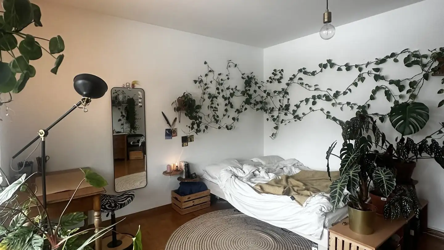 Single room for rent - 3097 Liebefeld