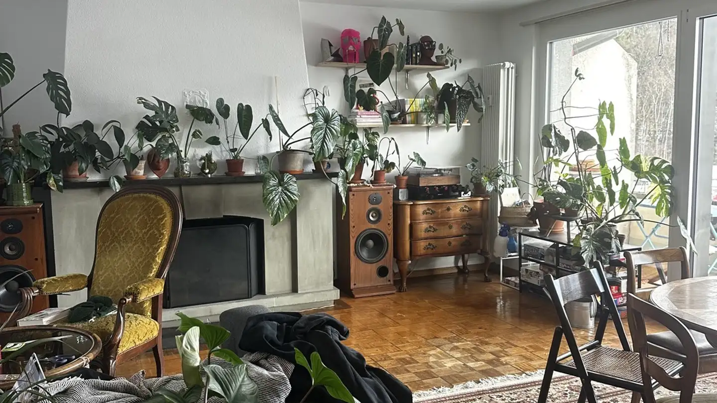 Single room for rent - 3097 Liebefeld - Photo 4