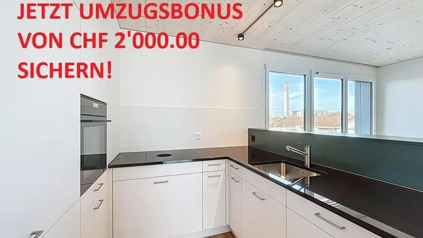 Appartement à louer - Luegislandstrasse 350, 8051 Zürich