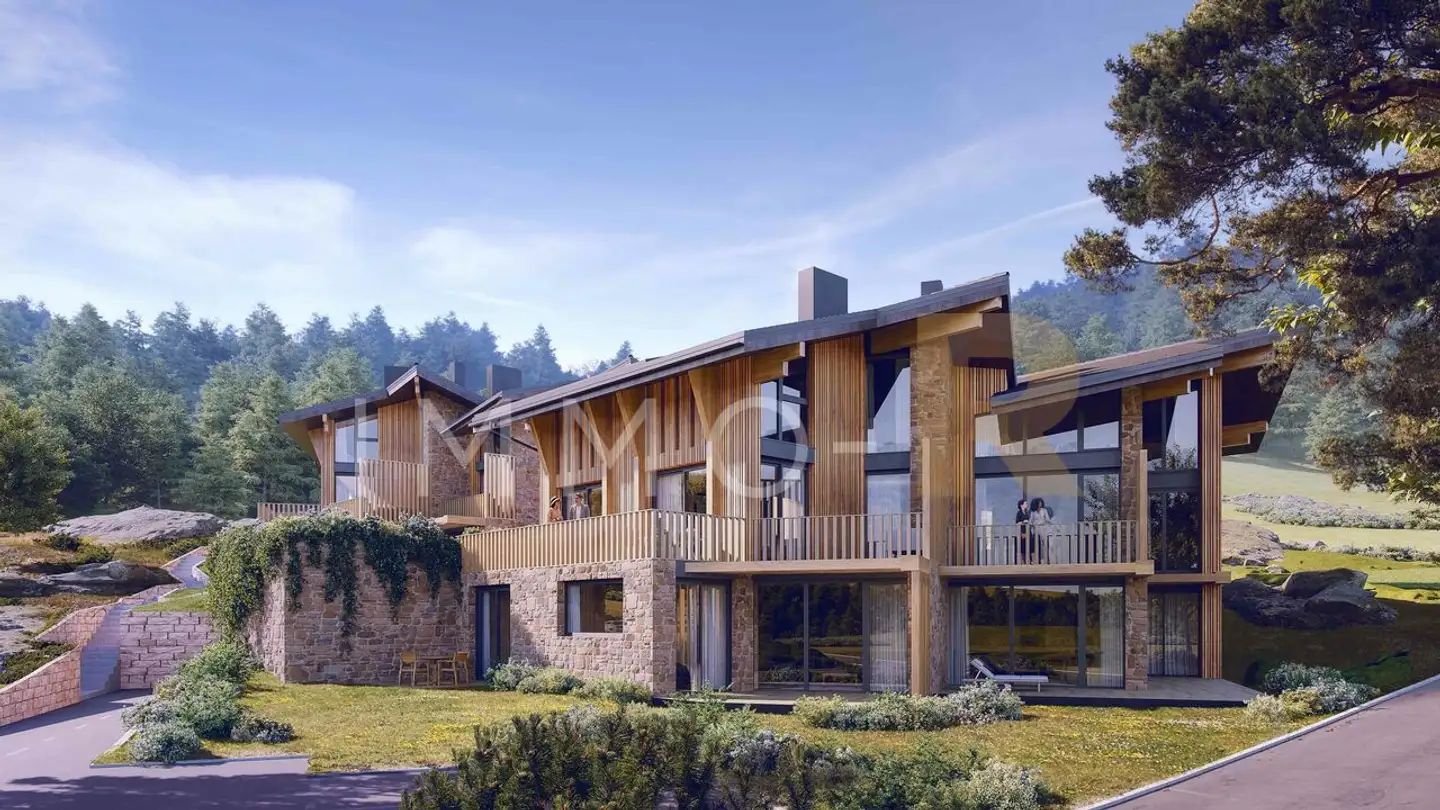 Apartment for sale - Chemin De La Moille Au Critsou 128, 1619 Les Paccots