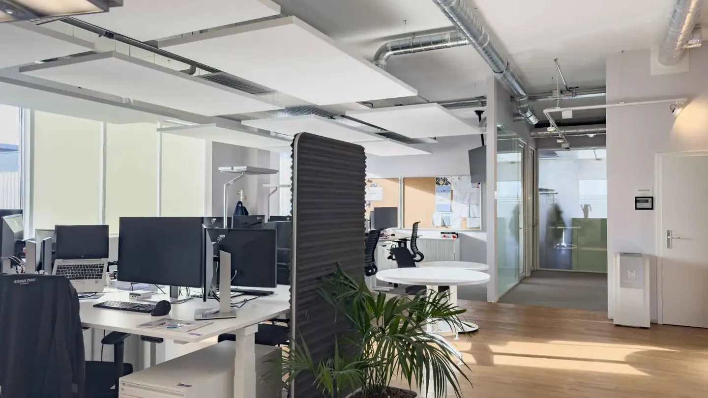 Gewerbe mieten - Rue Emma- Kammacher 9, 1217 Meyrin
