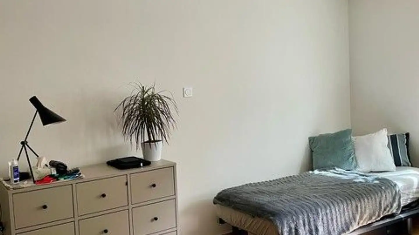 Single room for rent - Freiestrasse 131, 8032 Zürich - Photo 3