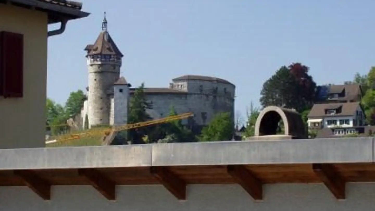 Wohnung mieten - Trüllergasse 12, 8245 Feuerthalen