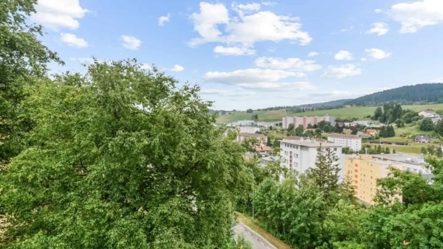 Appartement à louer - Rue Georges-Perrenoud 36, 2400 Le Locle