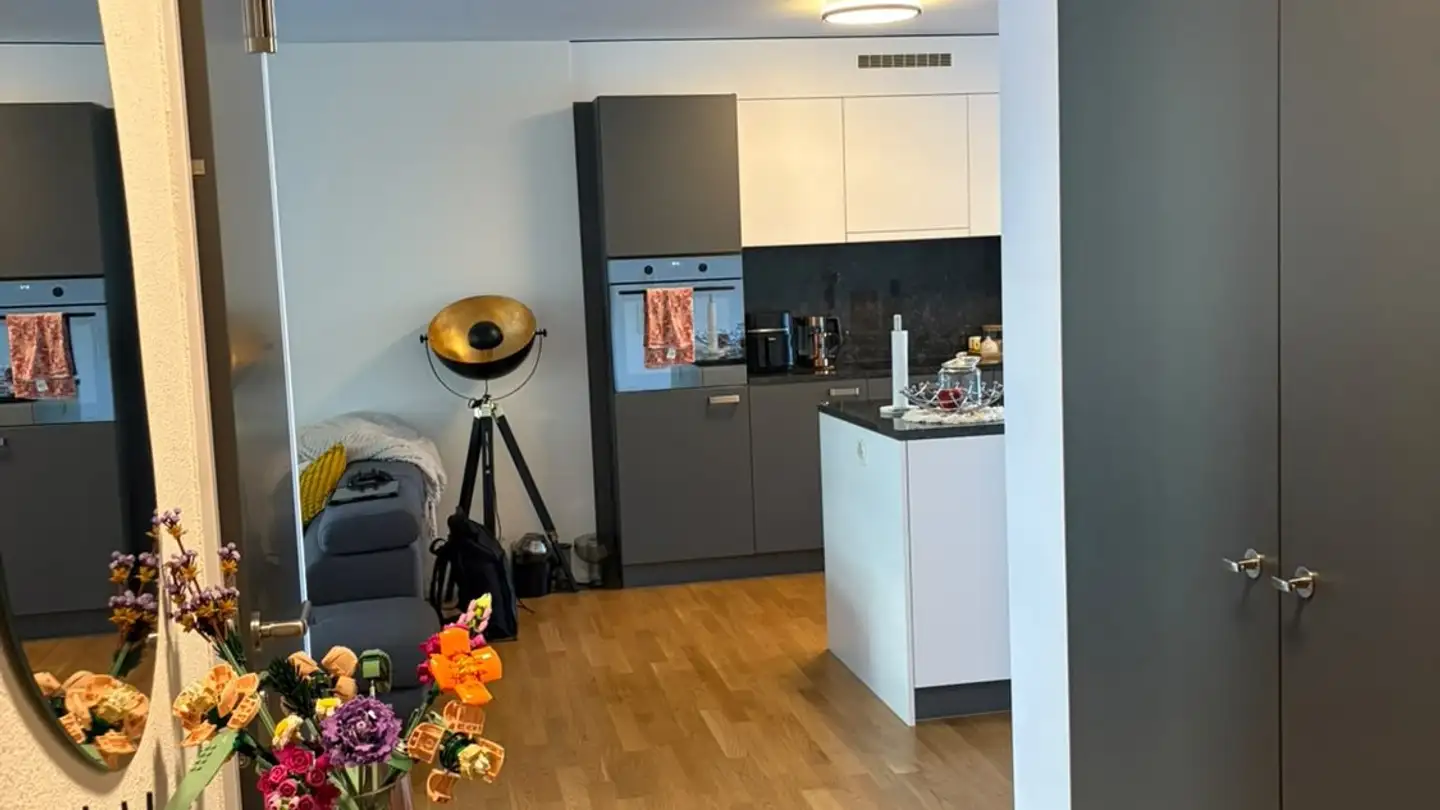 Appartamento in affitto - Brandstrasse 21, 8952 Schlieren
