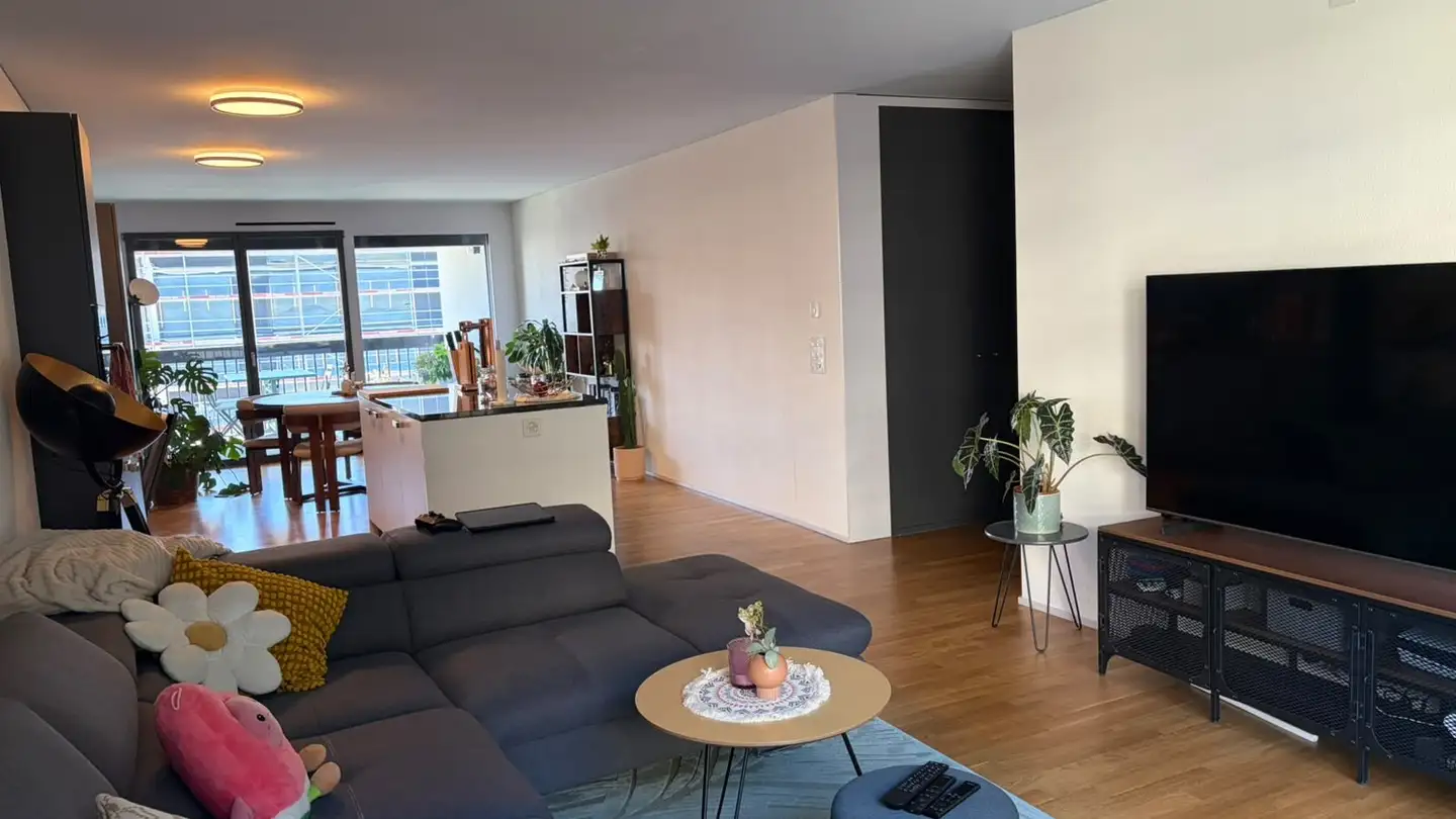 Appartamento in affitto - Brandstrasse 21, 8952 Schlieren - Foto 3