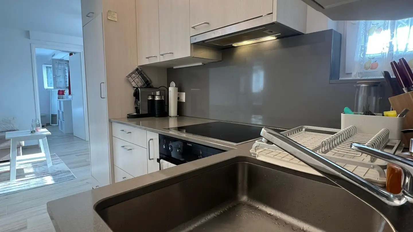 Wohnung mieten - Strada Cantonale 76, 6984 Pura - Foto 4