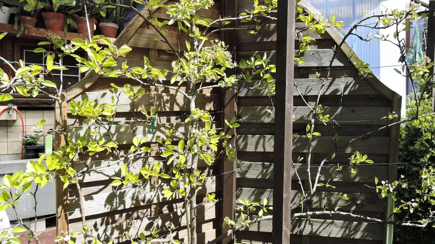 Doppelhaushälfte kaufen - 3860 Meiringen - Foto 2