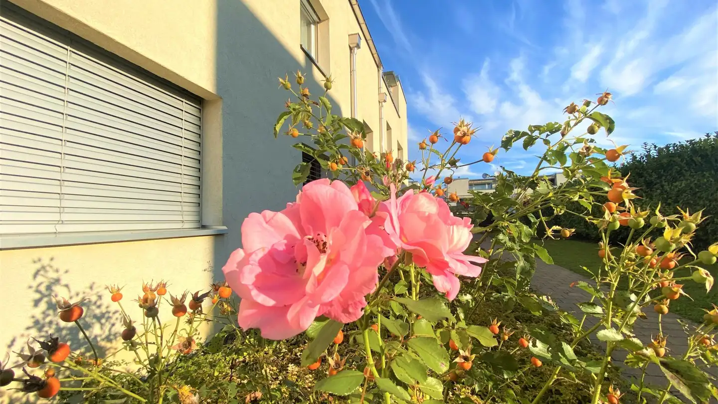 Appartement à louer - Hardstrasse, 8424 Embrach