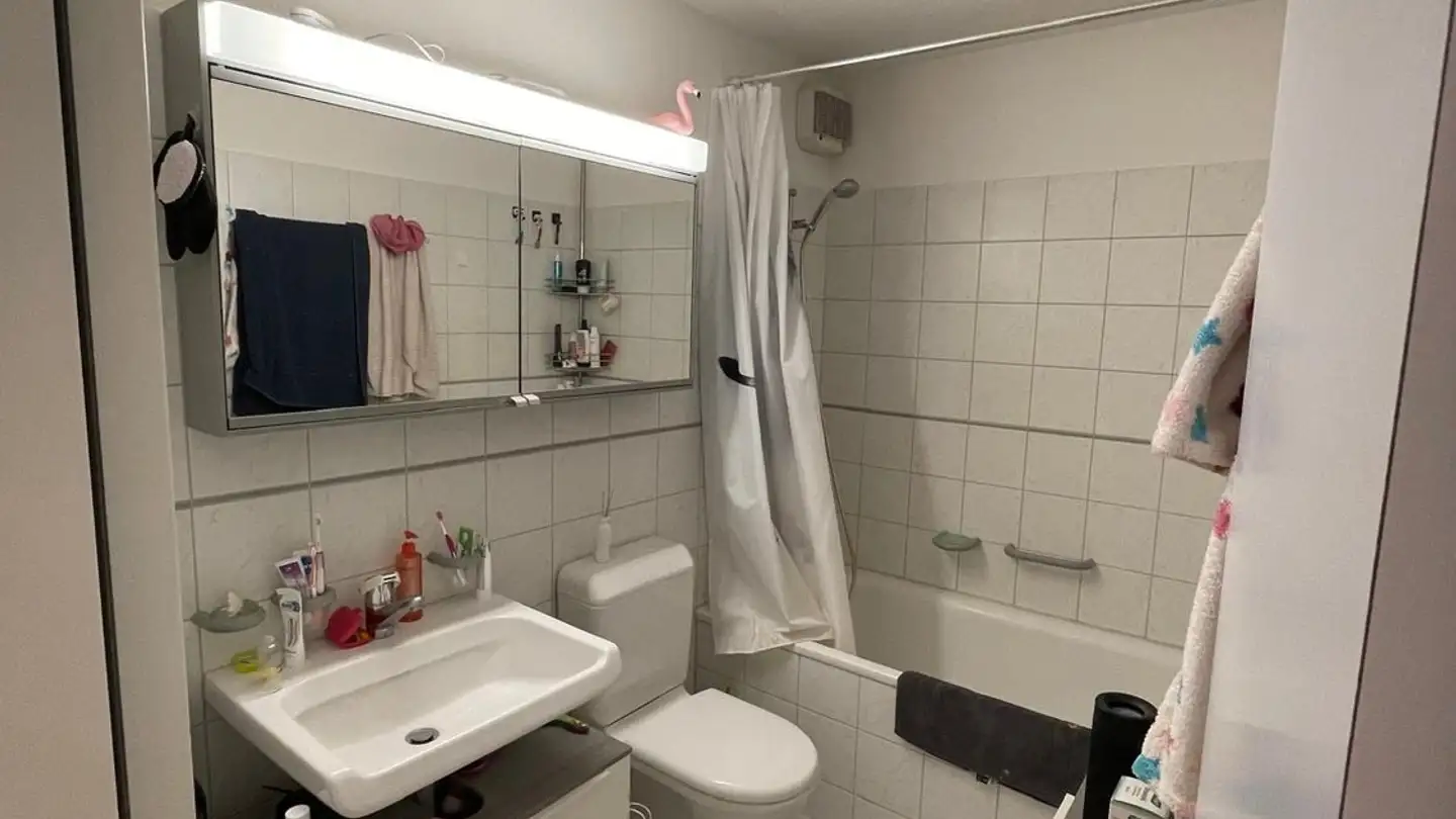 Appartamento in affitto - Zopfstrasse 26, 8804 Au ZH - Foto 4