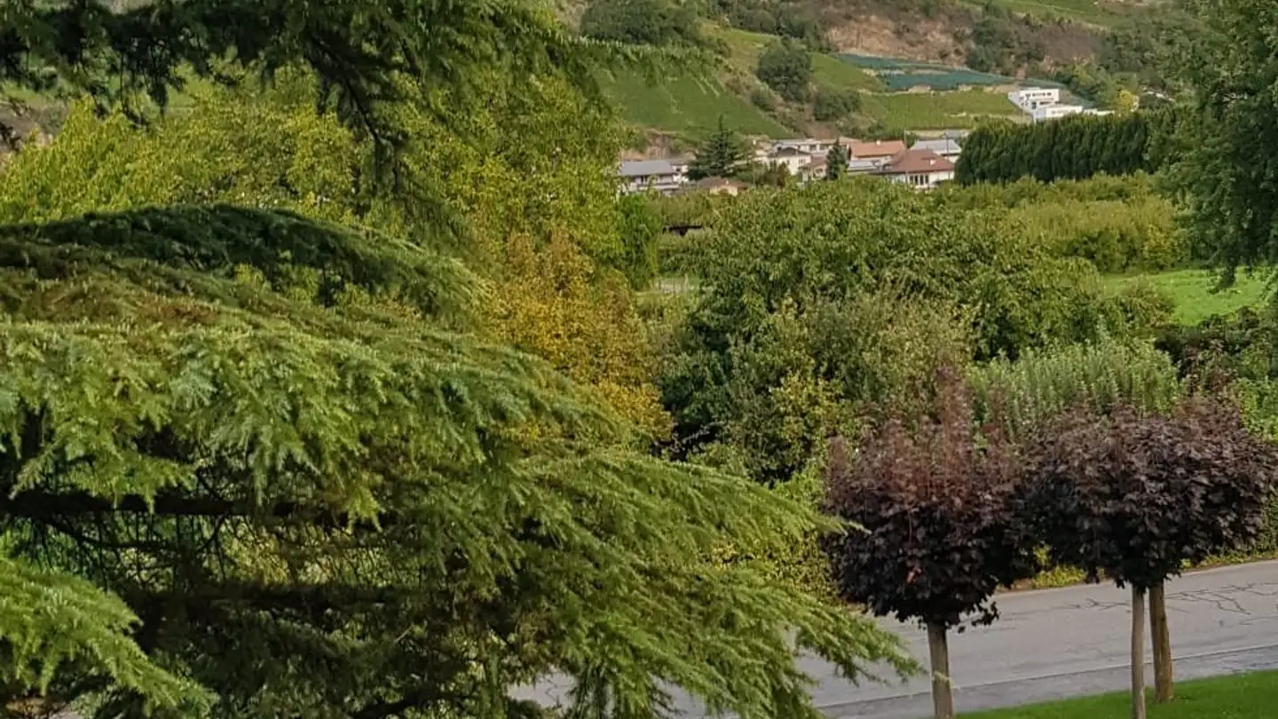 Appartement à louer - 1913 Saillon - Photo 3