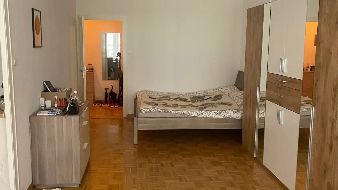 Appartamento in affitto - Rue du Vidollet 13, 1202 Genève - Foto 3