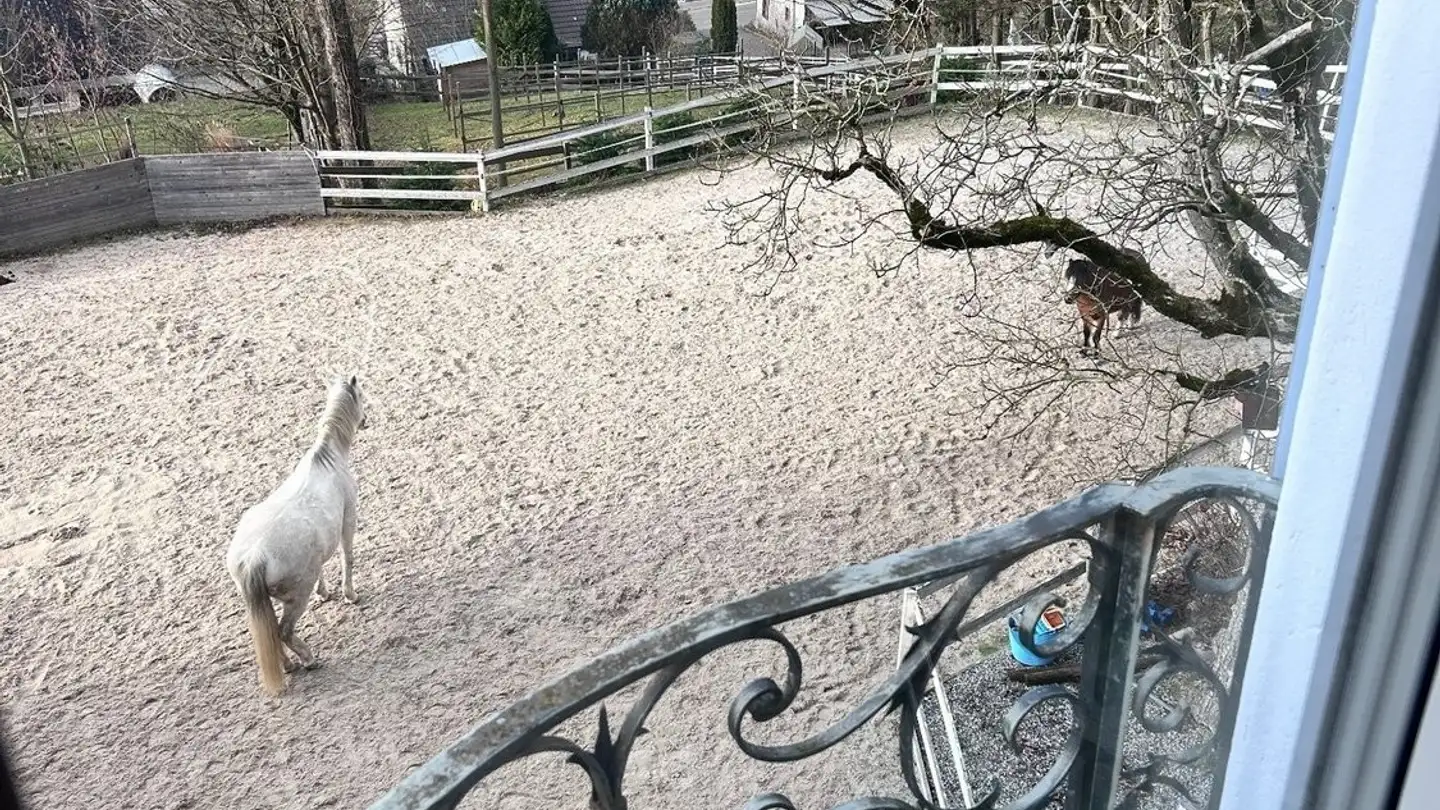 Apartment for rent - Entfelderstrasse 7, 5012 Schönenwerd - Photo 4