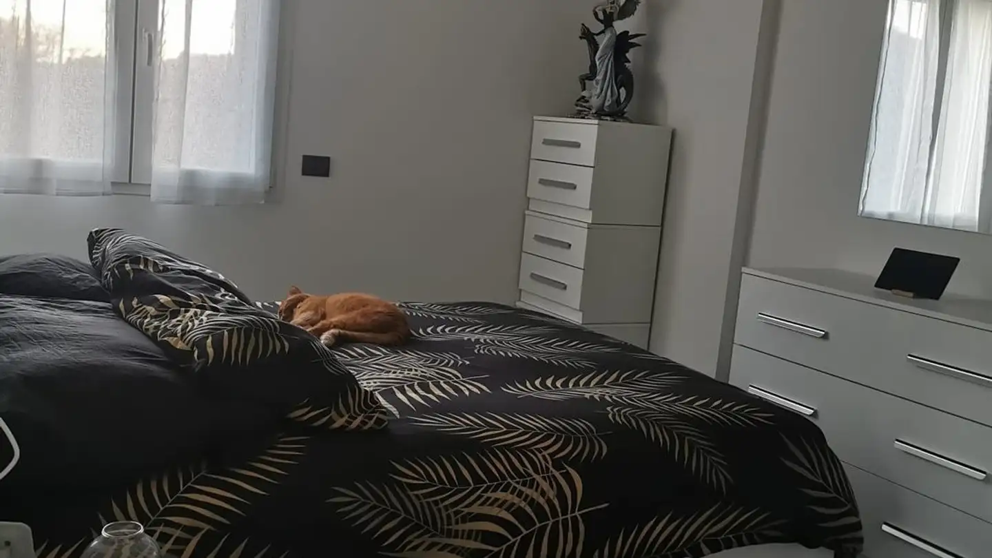 Appartement à louer - Via Bressanella 14, 6828 Balerna