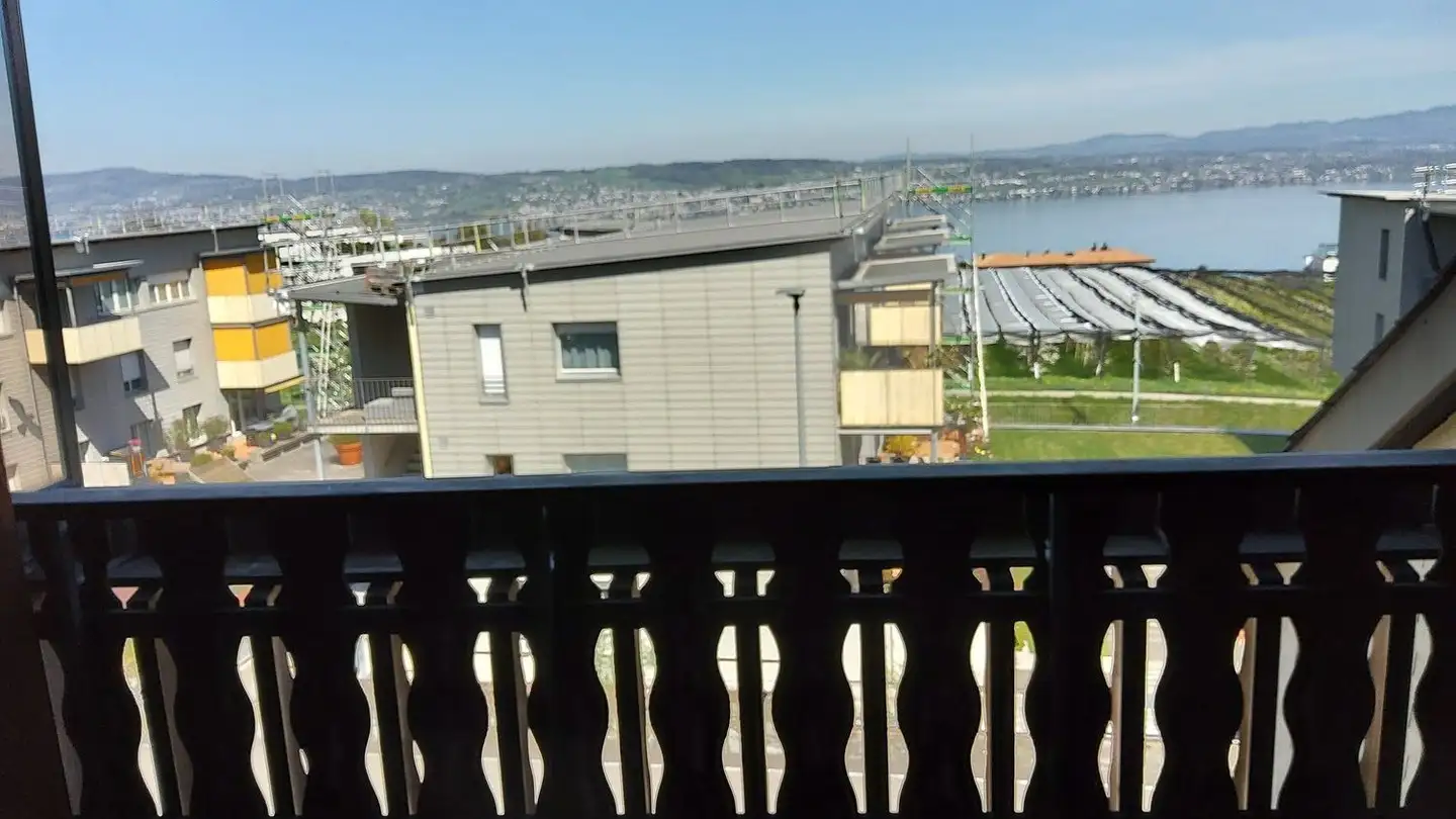 Constructible plot for sale - Alte Wollerauerstrasse 31, 8832 Wollerau - Photo 3