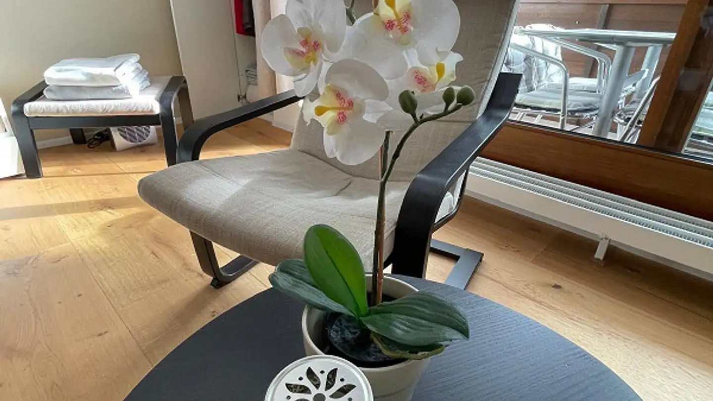 Appartement à vendre - Voa Davos Lai 31, 7078 Lenzerheide/Lai - Photo 3