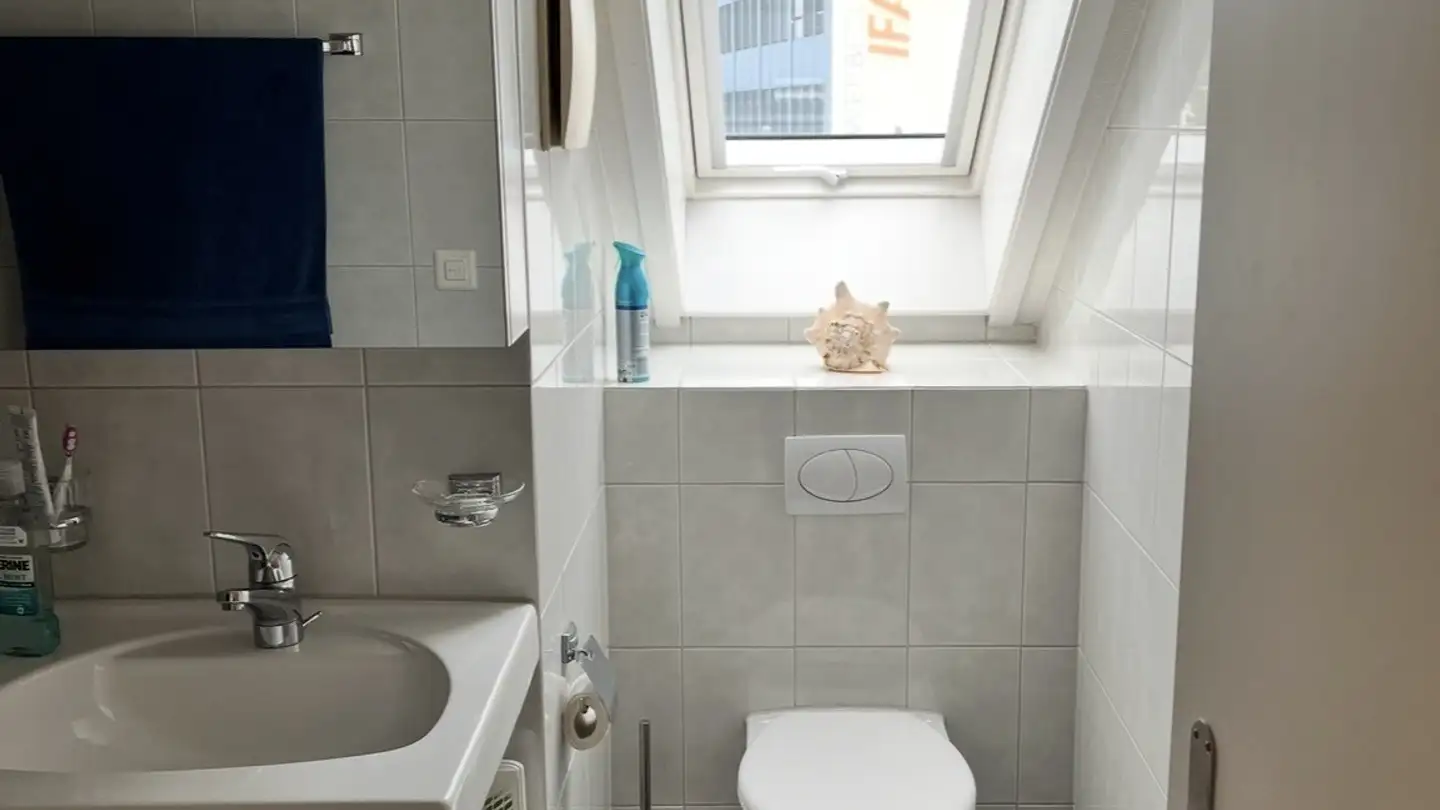 Apartment for rent - Riedwiesen 14, 8603 Schwerzenbach - Photo 3