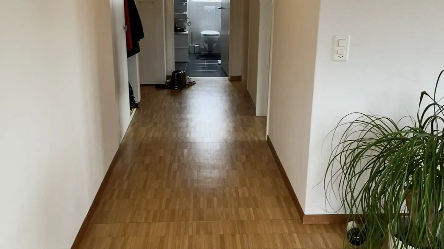 Apartment for rent - Riedwiesen 14, 8603 Schwerzenbach - Photo 4
