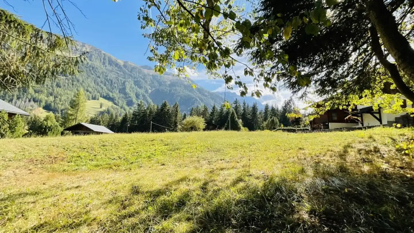 Terrain constructible à vendre - 1943 Praz-de-Fort - Photo 3