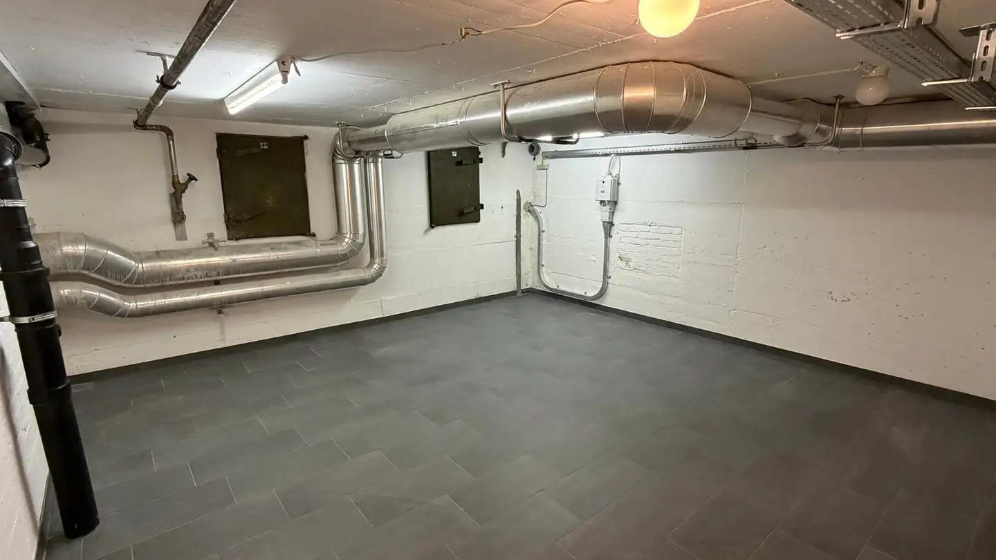 Atelier à louer - Hegenheimerstrasse 95, 4055 Basel