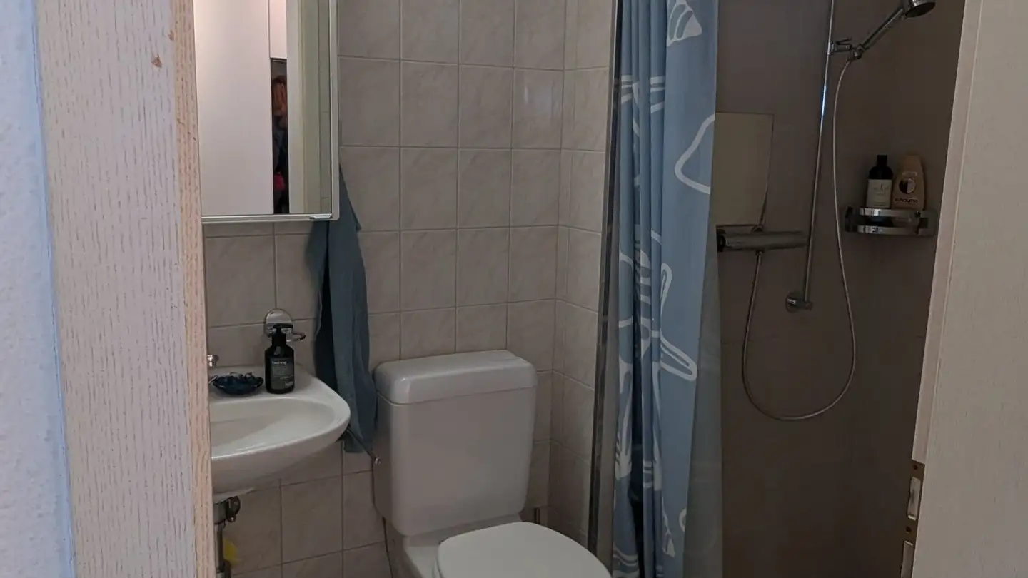 Appartement à louer - 8953 Dietikon - Photo 4