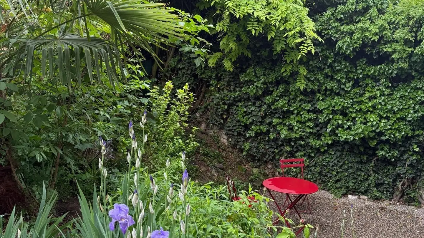 Appartamento in affitto - 1225 Chêne-Bourg - Foto 2