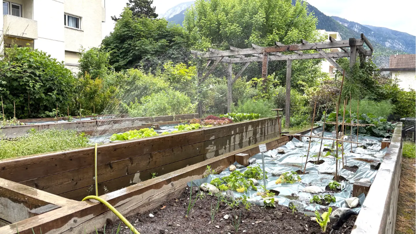 Appartamento in affitto - Rue D'orzival 12, 3960 Sierre - Foto 2