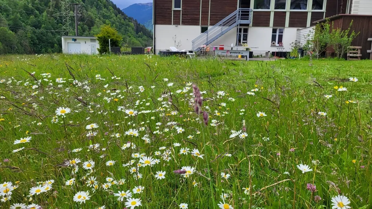 Chambre à louer - 8766 Matt - Photo 4