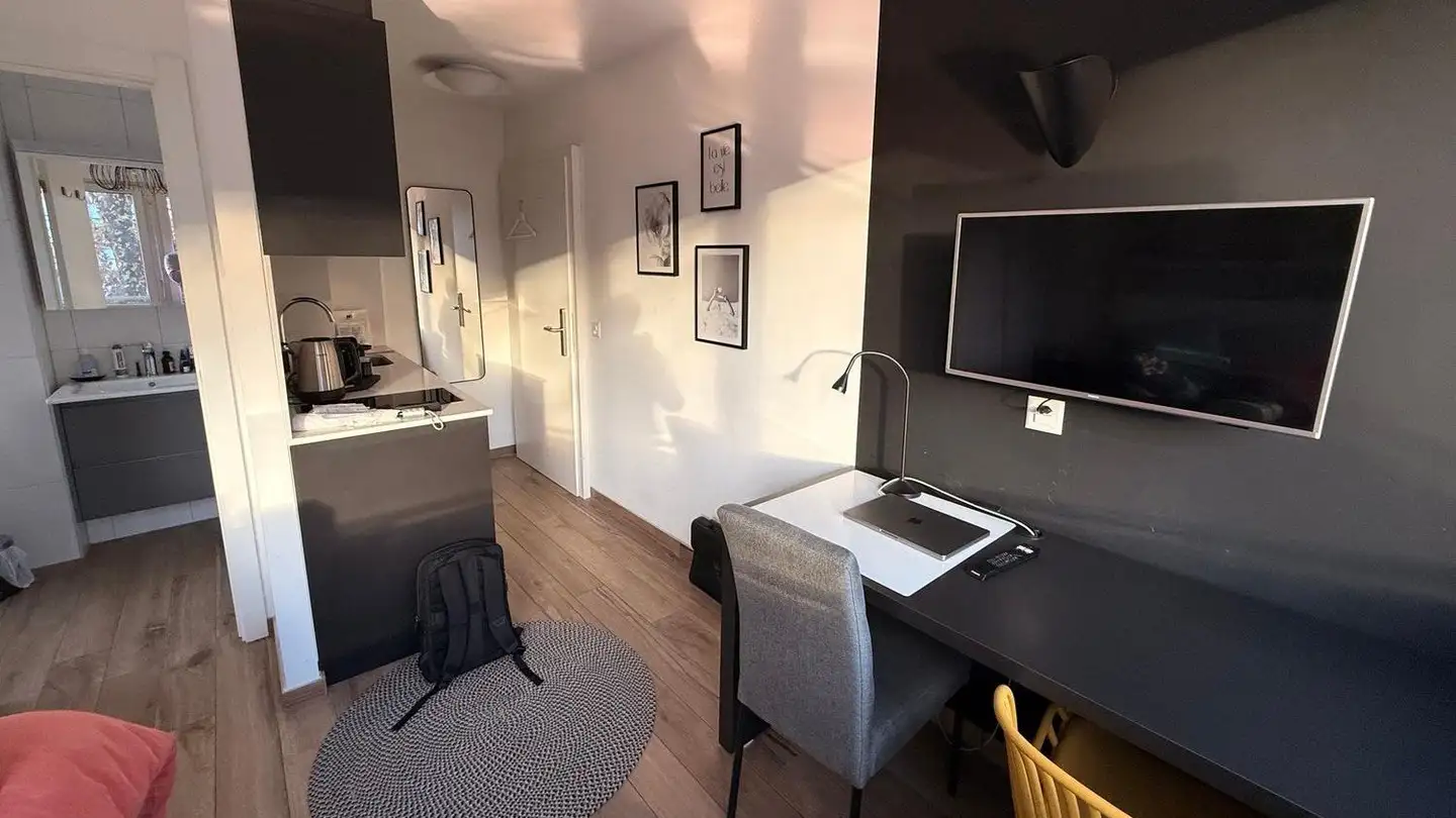 Appartement à louer - Chemin Vert 45, 1800 Vevey