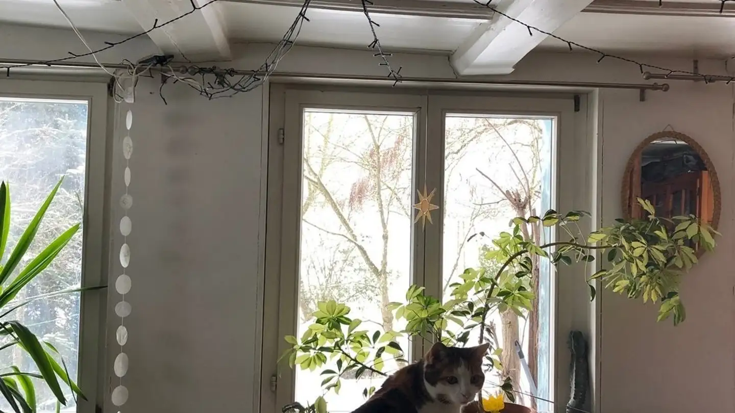 Stanza singola in affitto - 8280 Kreuzlingen - Foto 4