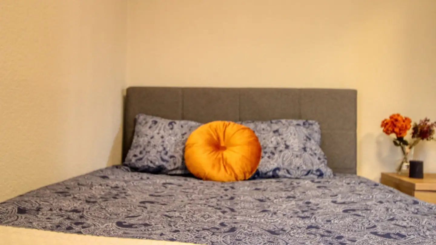 Single room for rent - Manessestrasse, 8045 Zürich - Photo 4