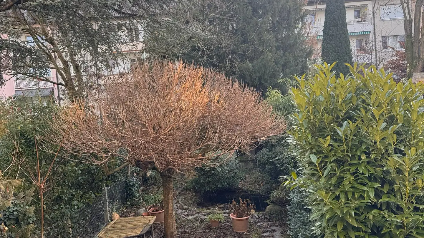 Single house for sale - Schalerstrasse 41, 4054 Basel - Photo 3