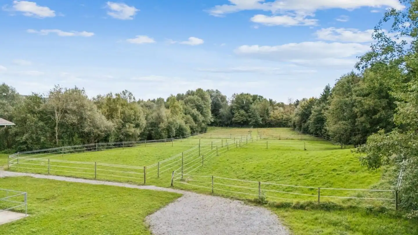 Maneggio in vendita - Ziegeleistrasse 4, 8254 Basadingen - Photo 3