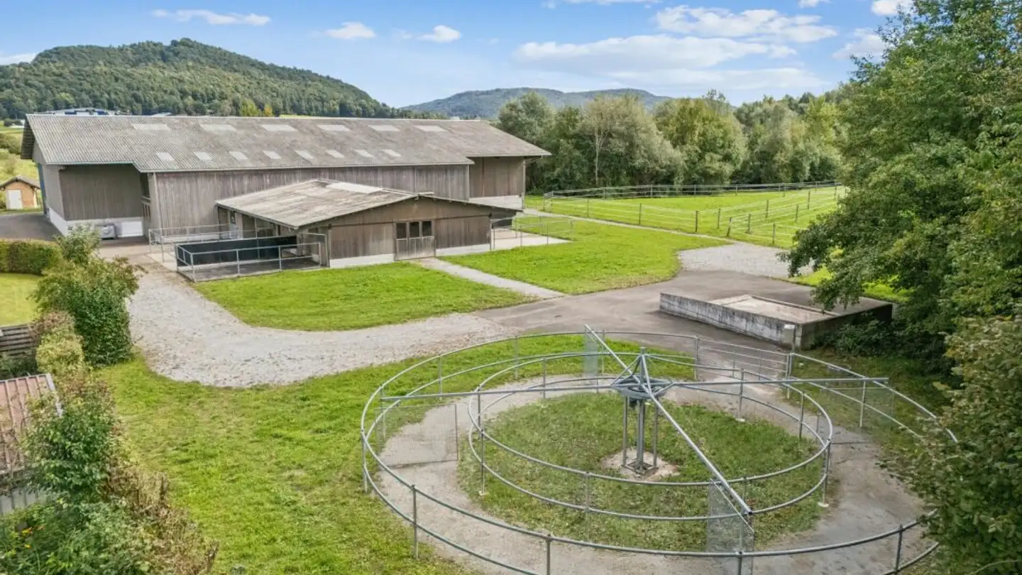 Maneggio in vendita - Ziegeleistrasse 4, 8254 Basadingen - Photo 4