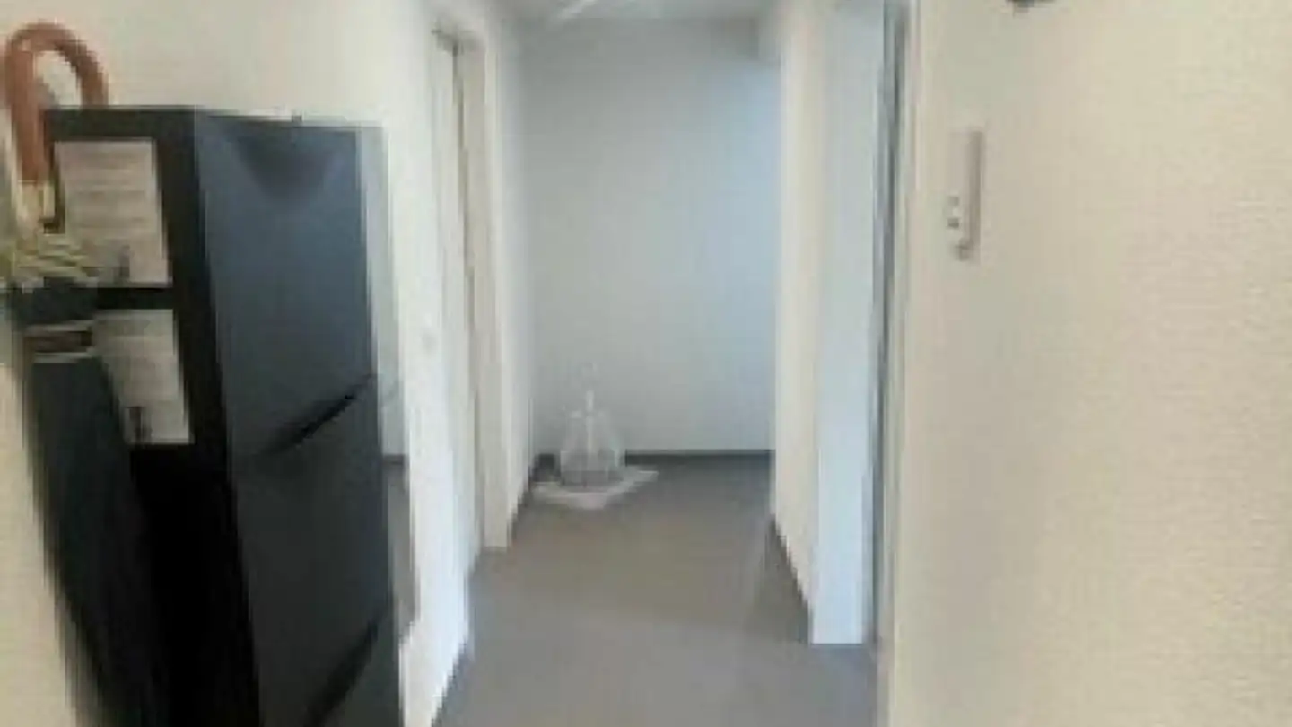 Appartamento in affitto - Ferrachstrasse 29, 8630 Rüti ZH - Foto 3
