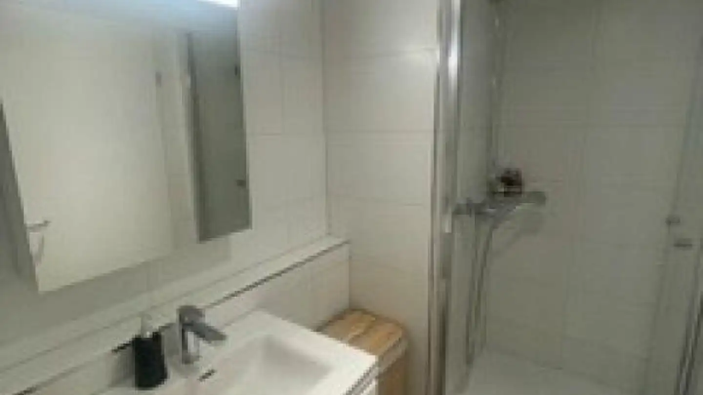 Appartamento in affitto - Ferrachstrasse 29, 8630 Rüti ZH - Foto 4